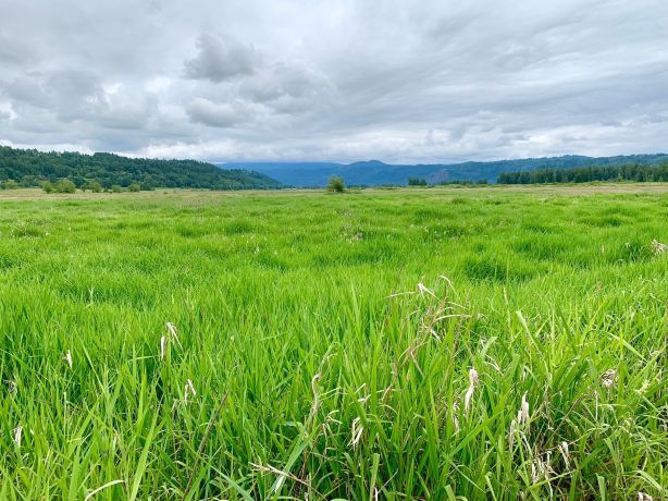 Steigerwald Lake National Wildlife Refuge