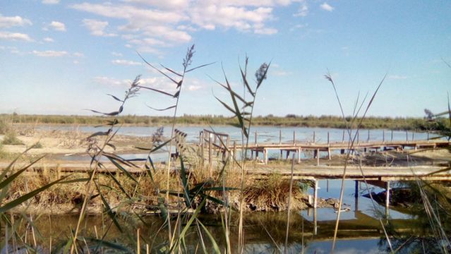 Centre de Decouverte du Scamandre