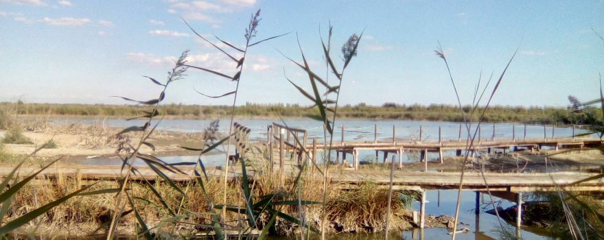 Centre de Decouverte du Scamandre