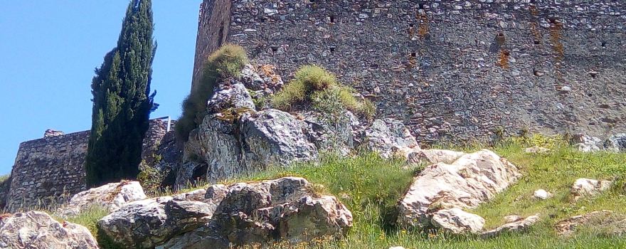 Castle of Alegrete
