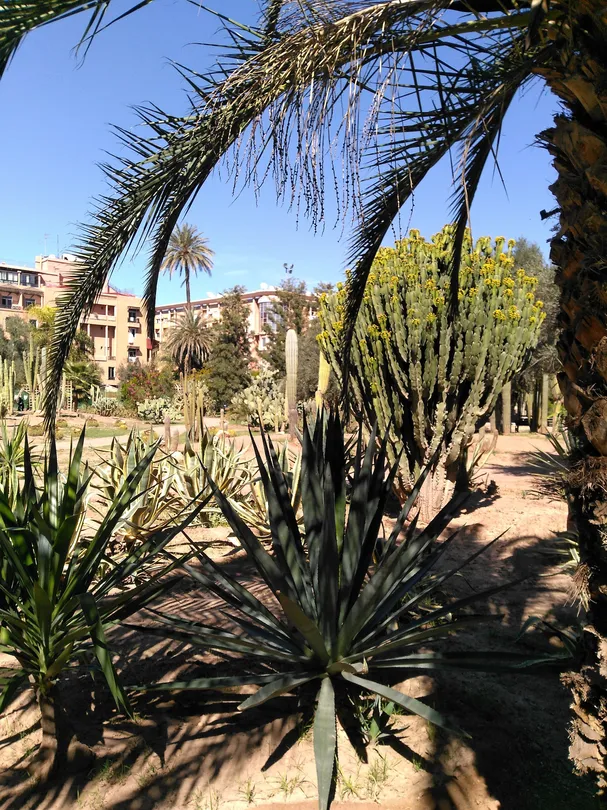 3_Jardin el Harti