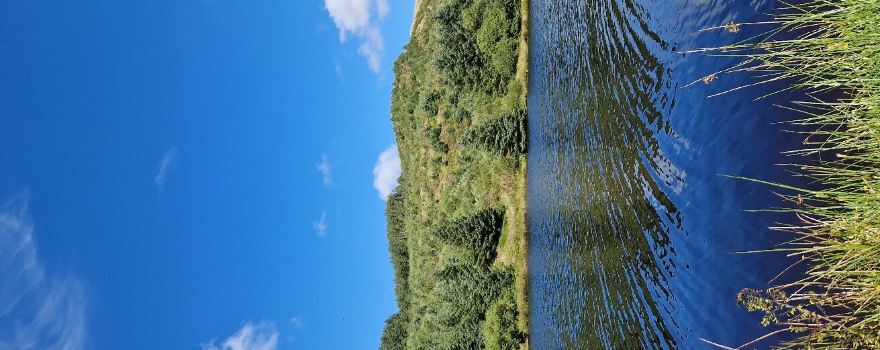 Bwlch Nant yr Arian Forest Visitor Centre