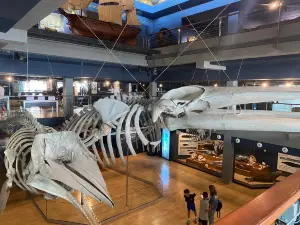 Museo Maritimo del Cantabrico