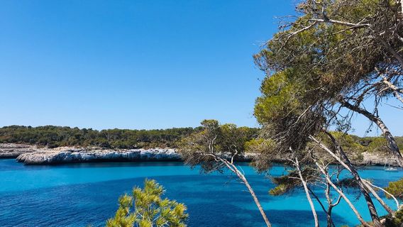 Parc Natural de Mondrago