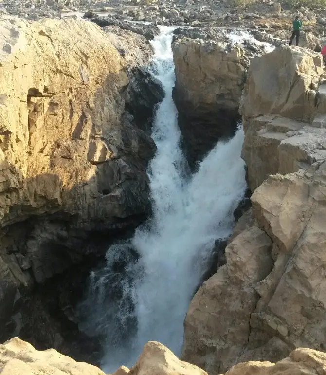 Surguja