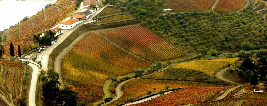 Quinta do Crasto