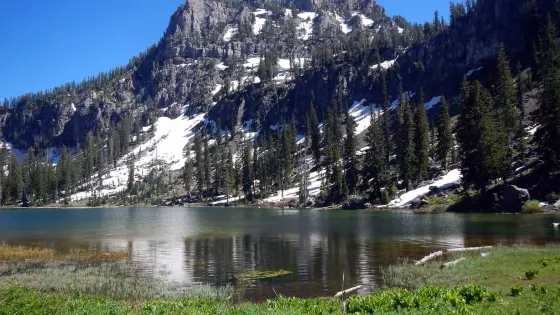 White Pine Lake
