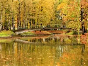 Shevchenko park