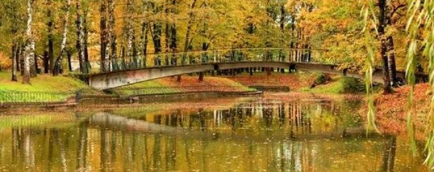 Shevchenko park
