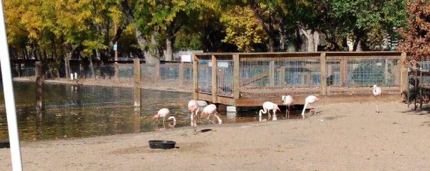 Lee Richardson Zoo