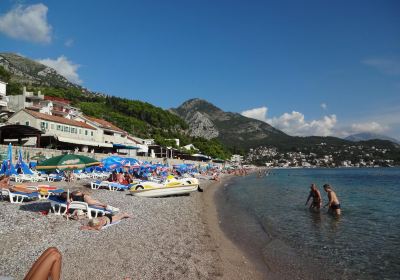 Sutomore