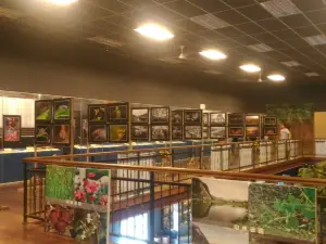 Kinta Tin Mining (Gravel Pump) Museum