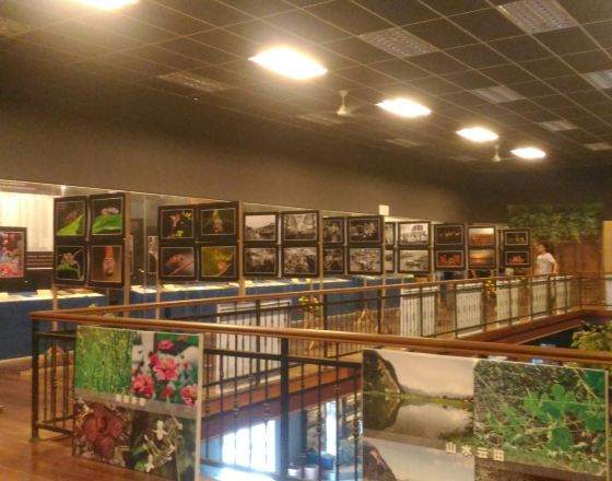 金寶 自由行套票