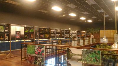 Kinta Tin Mining (Gravel Pump) Museum