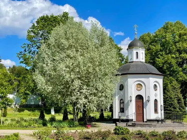 Pechorsky District