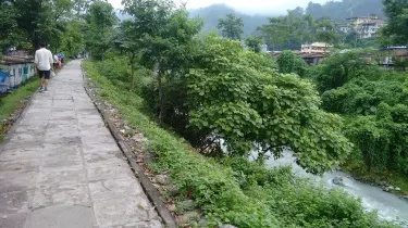 Crocodile Breeding Centre