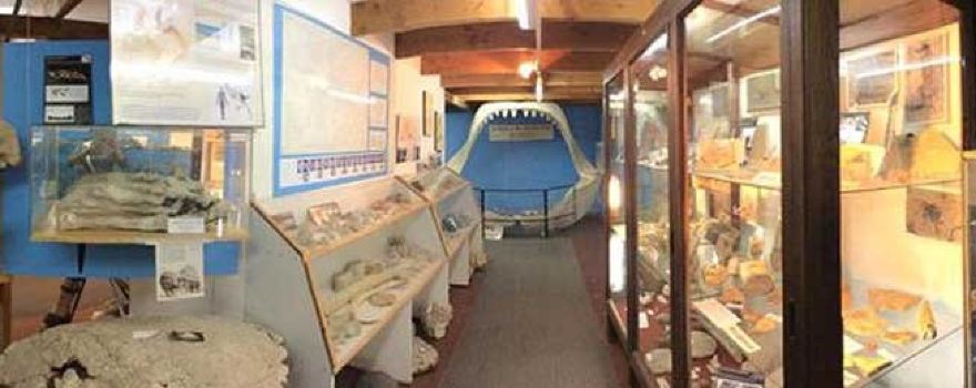 Museo Paleontologico Bariloche