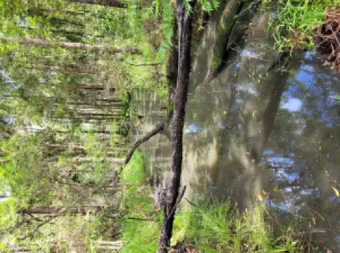 Victory Heights Recreational Trails