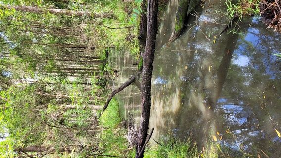 Victory Heights Recreational Trails