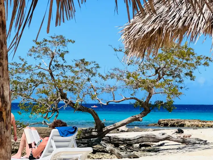 Hotels near Playa Estero
