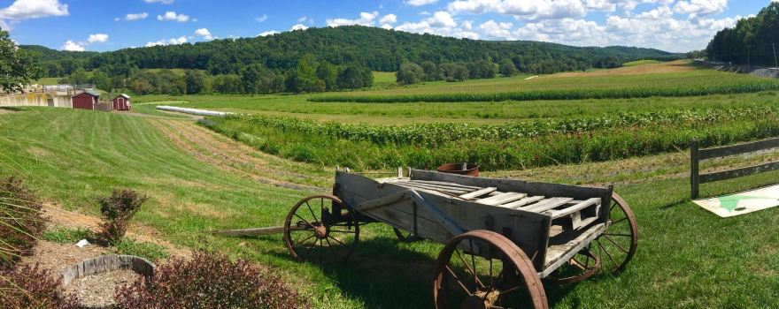 Green Valley Farms