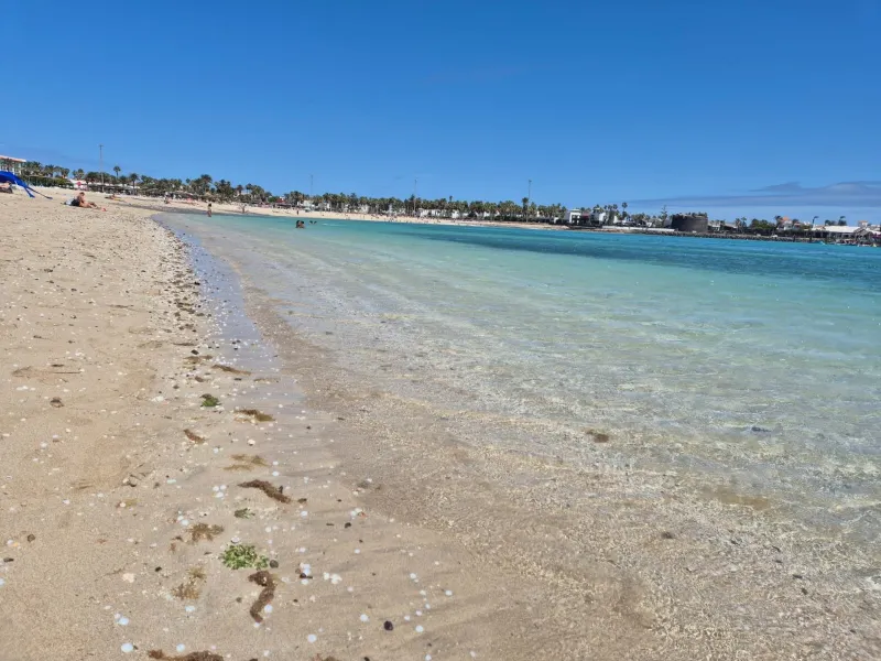 Caleta De Fuste