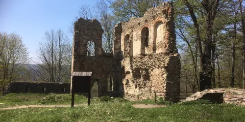 Vikštejn u Radkova Ruin