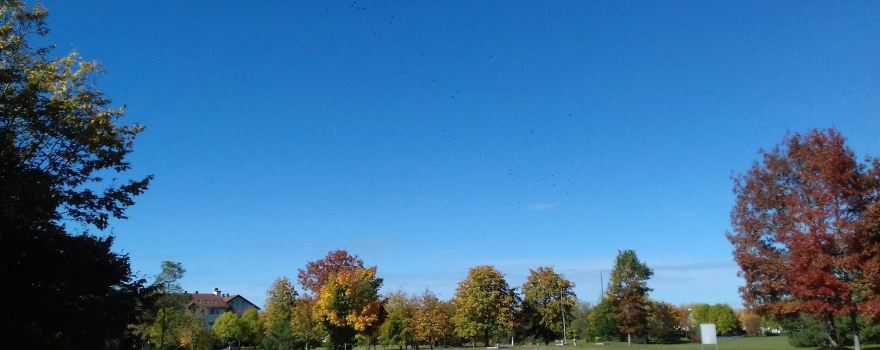UnterschleiBheim