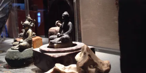 Museum of Encountered Oblects