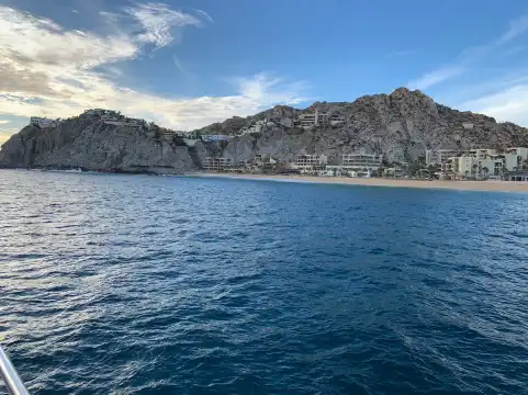 Hotels near Los Cabos Whale Watching