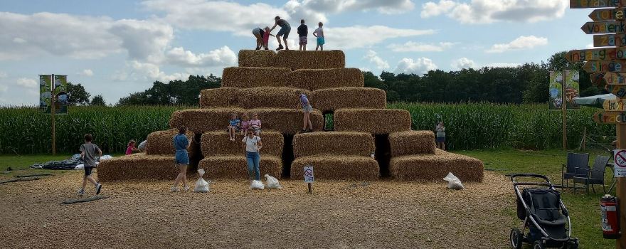 The Corn Maze
