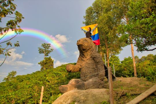 Voli da Bogota per Pitalito