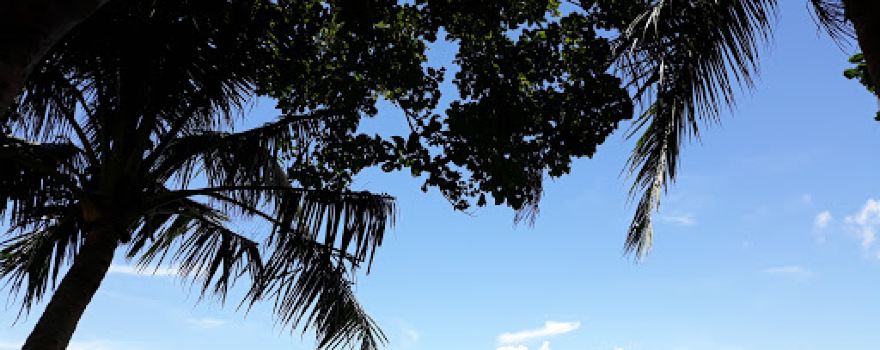 Morales Beach Resort