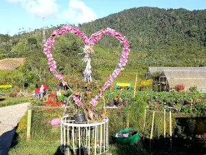 WISATA DANAU MOAT