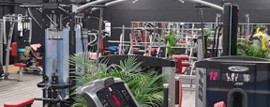 Liberty Fitness