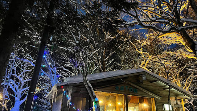 Subzero Forest (Hyotenkan no Mori)