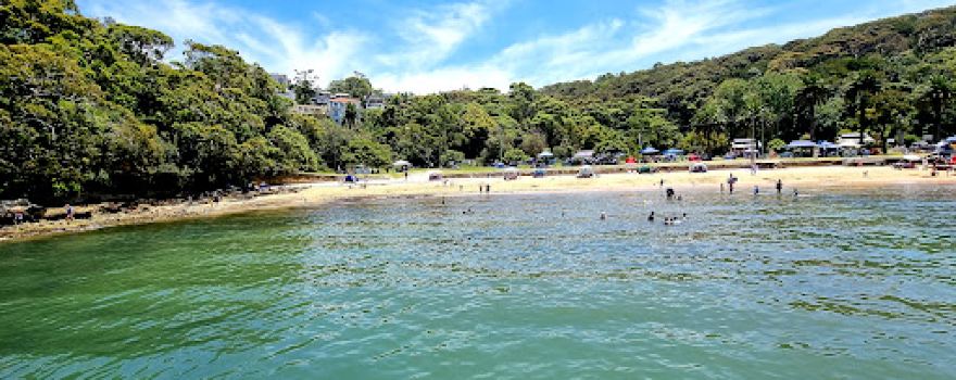 Clifton Gardens Reserve