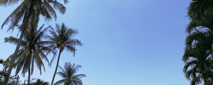 Masjid Al Barakah Tikam Batu