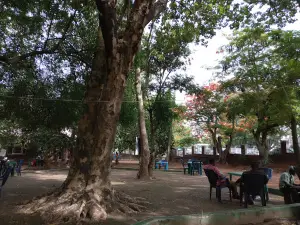 Doo Restaurant , Old GRA