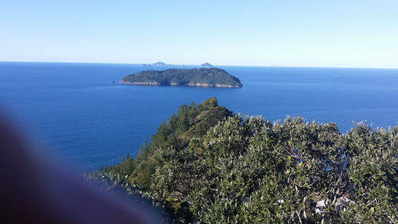 Mount Paku Lookout Walkway Entrance
