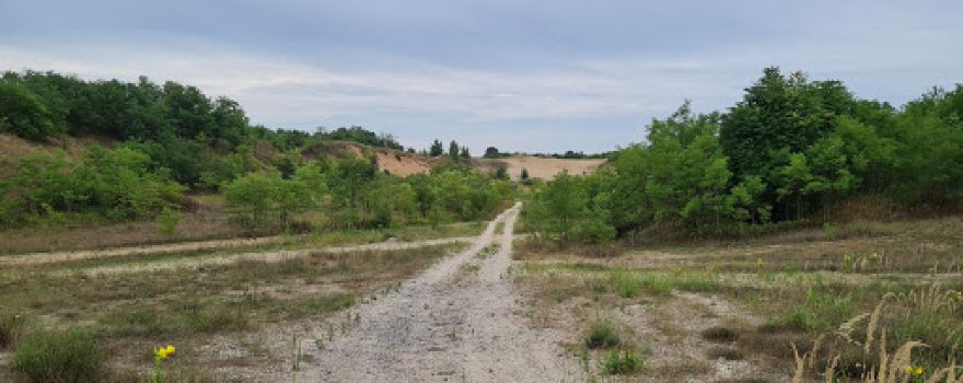 Dravski peski - Croatian desert