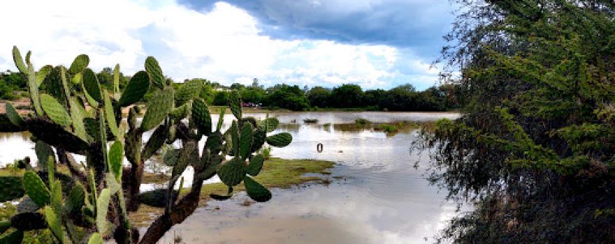 la presa