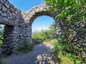 Okić