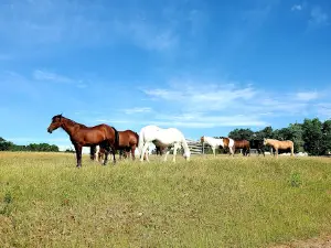 El Rancho Manana Campground