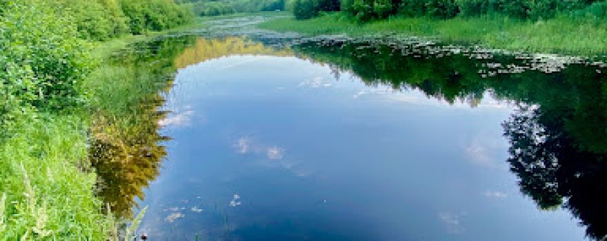 Taylor Lake