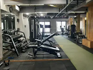 ICON FITNESS EXECUTIVE