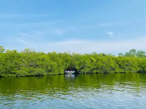 Madu Queen Boat Safari | Madu Ganga Boat Safari