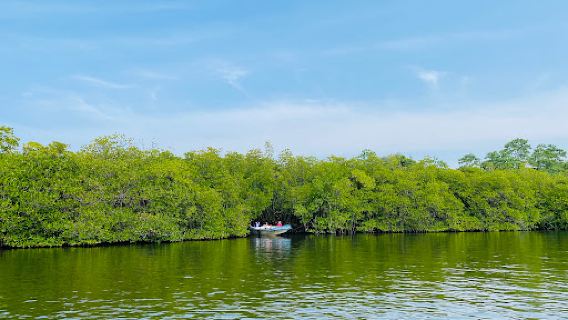 Madu Queen Boat Safari