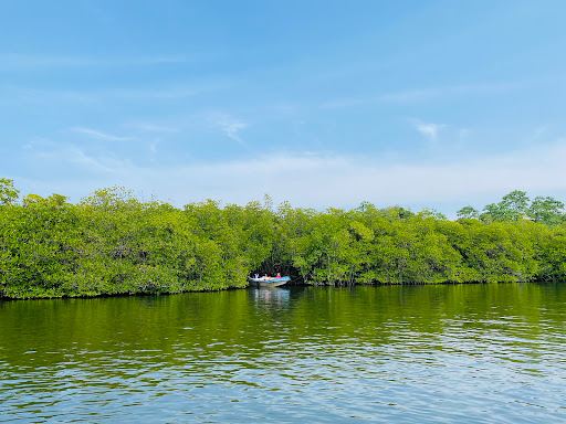 Madu Queen Boat Safari