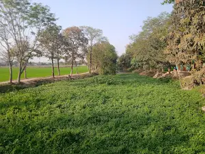 Sormongla Eco Park